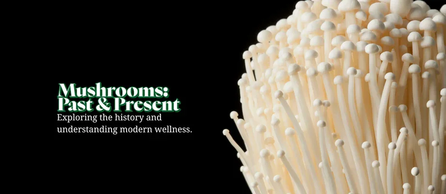 Ancient and modern mushroom medicine